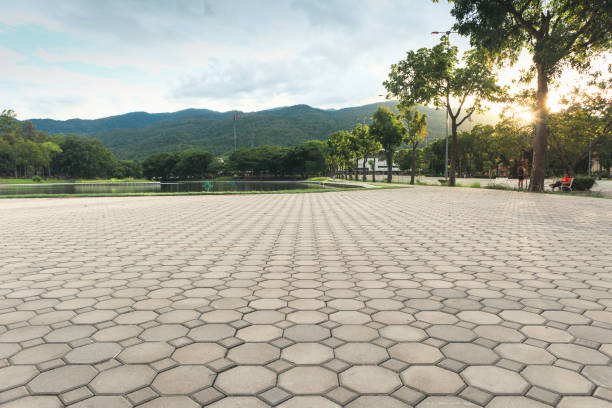 Best Custom Driveway Pavers  in Detroit, MI