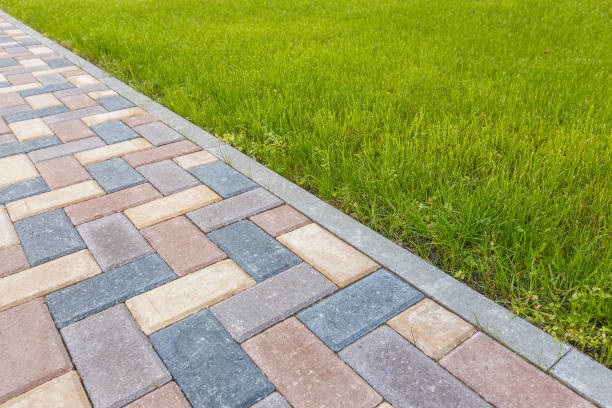 Reasons to Select Us for Your Driveway Paving Requirements in Detroit, MI